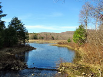 picture taken during a hike