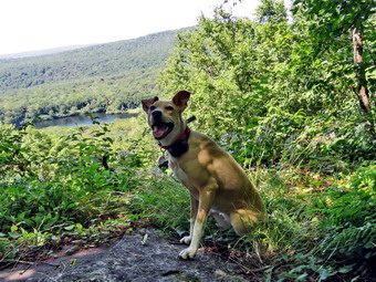 picture taken during a hike