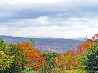 picture taken during a hike