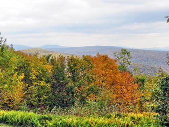 picture taken during a hike