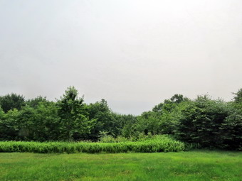 picture taken during a hike