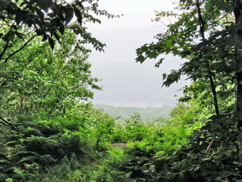 picture taken during a hike