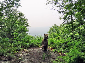 picture taken during a hike