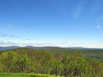 picture taken during a hike