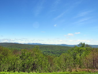 picture taken during a hike