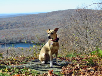 picture taken during a hike