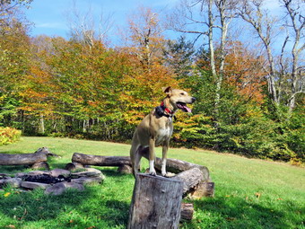 picture taken during a hike