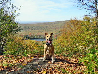 picture taken during a hike