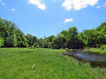 picture taken during a hike