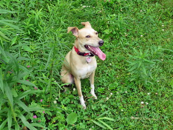 picture taken during a hike