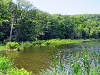 picture taken during a hike