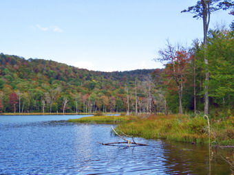 picture taken during a hike