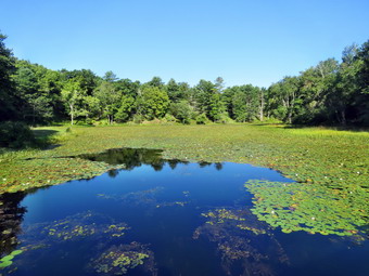 picture taken during a hike