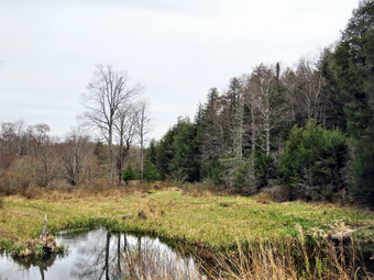 picture taken during a hike