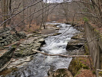 picture taken during a hike