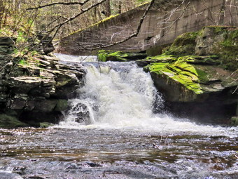 picture taken during a hike