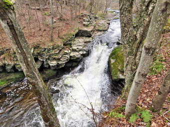 picture taken during a hike