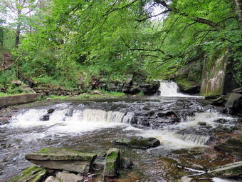 picture taken during a hike