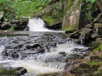 picture taken during a hike