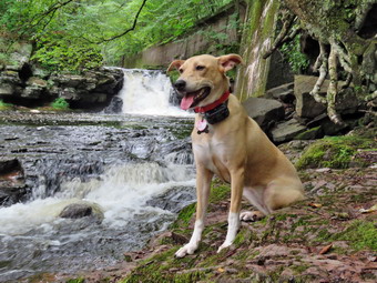 picture taken during a hike