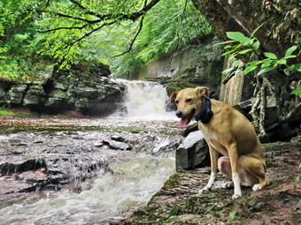 picture taken during a hike