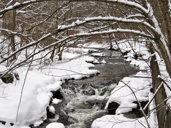 picture taken during a hike
