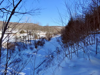 picture taken during a hike