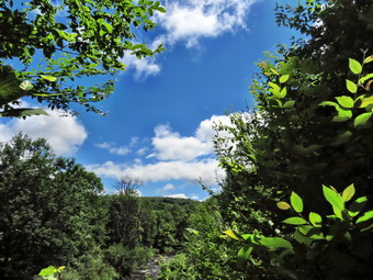 picture taken during a hike