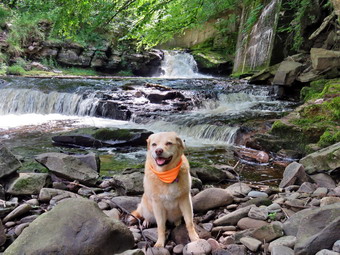 picture taken during a hike