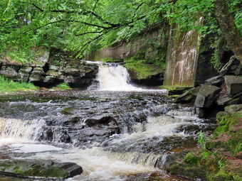 picture taken during a hike
