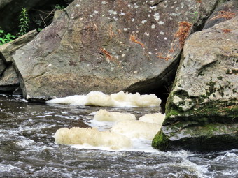 picture taken during a hike