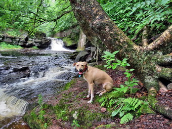 picture taken during a hike