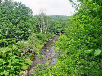 picture taken during a hike