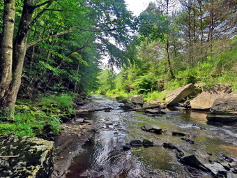 picture taken during a hike