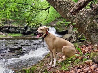 picture taken during a hike