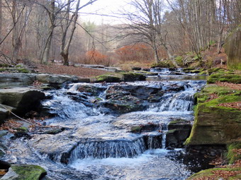 picture taken during a hike