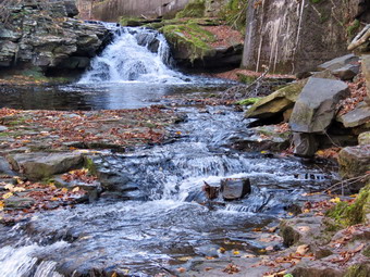 picture taken during a hike