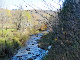 picture taken during a hike