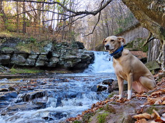 picture taken during a hike