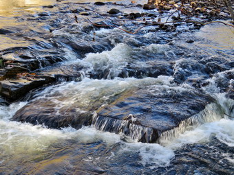 picture taken during a hike
