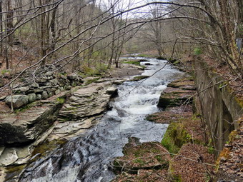 picture taken during a hike