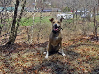 picture taken during a hike