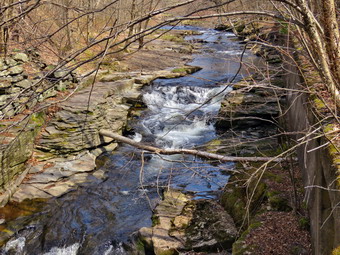 picture taken during a hike