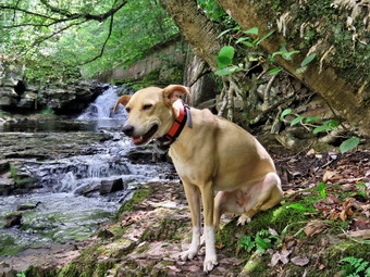 picture taken during a hike