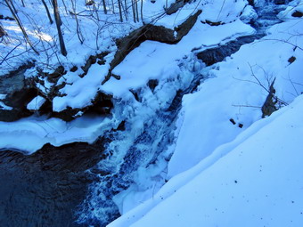 picture taken during a hike