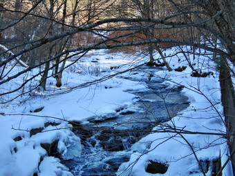 picture taken during a hike