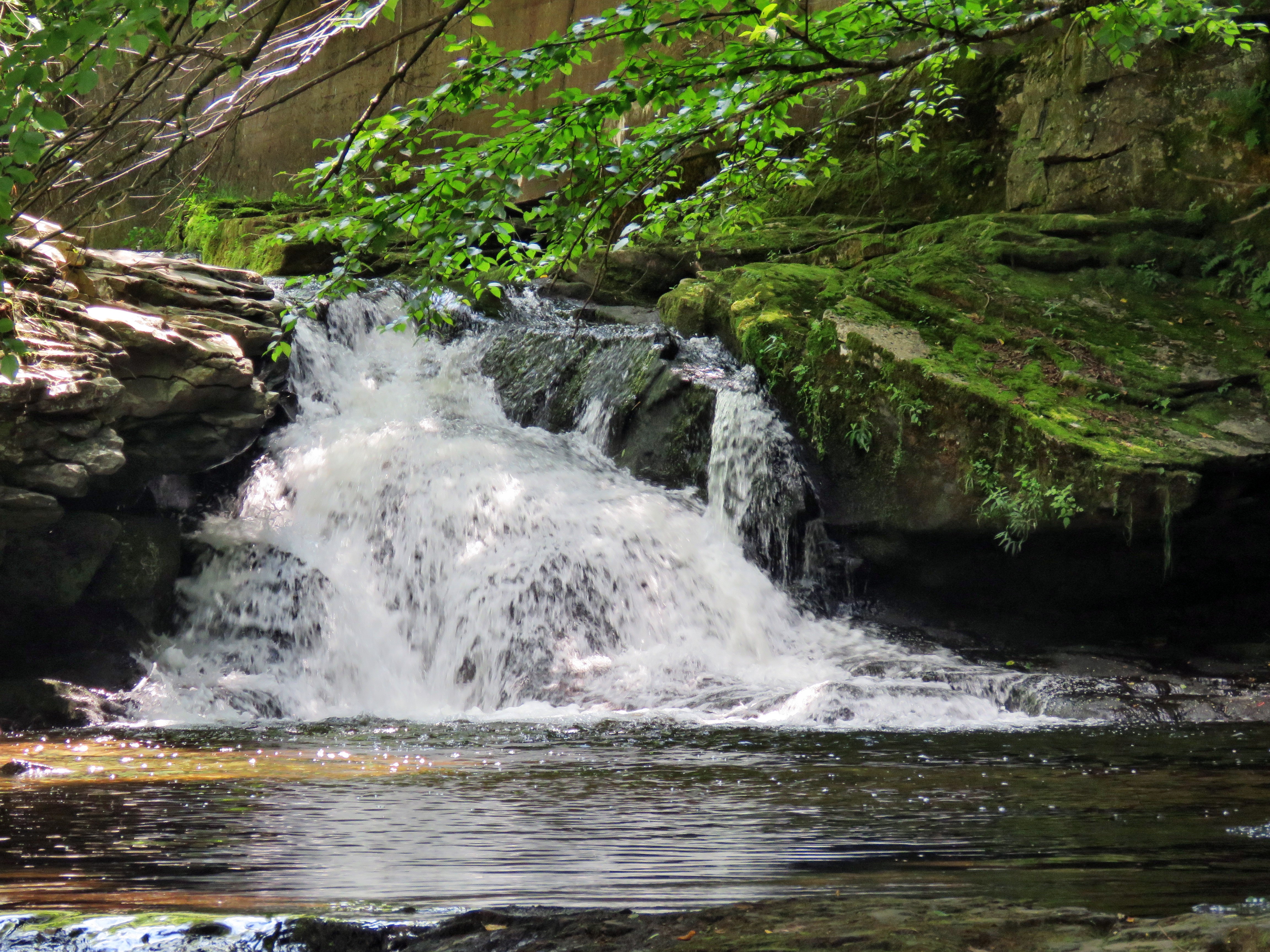 picture taken during a hike