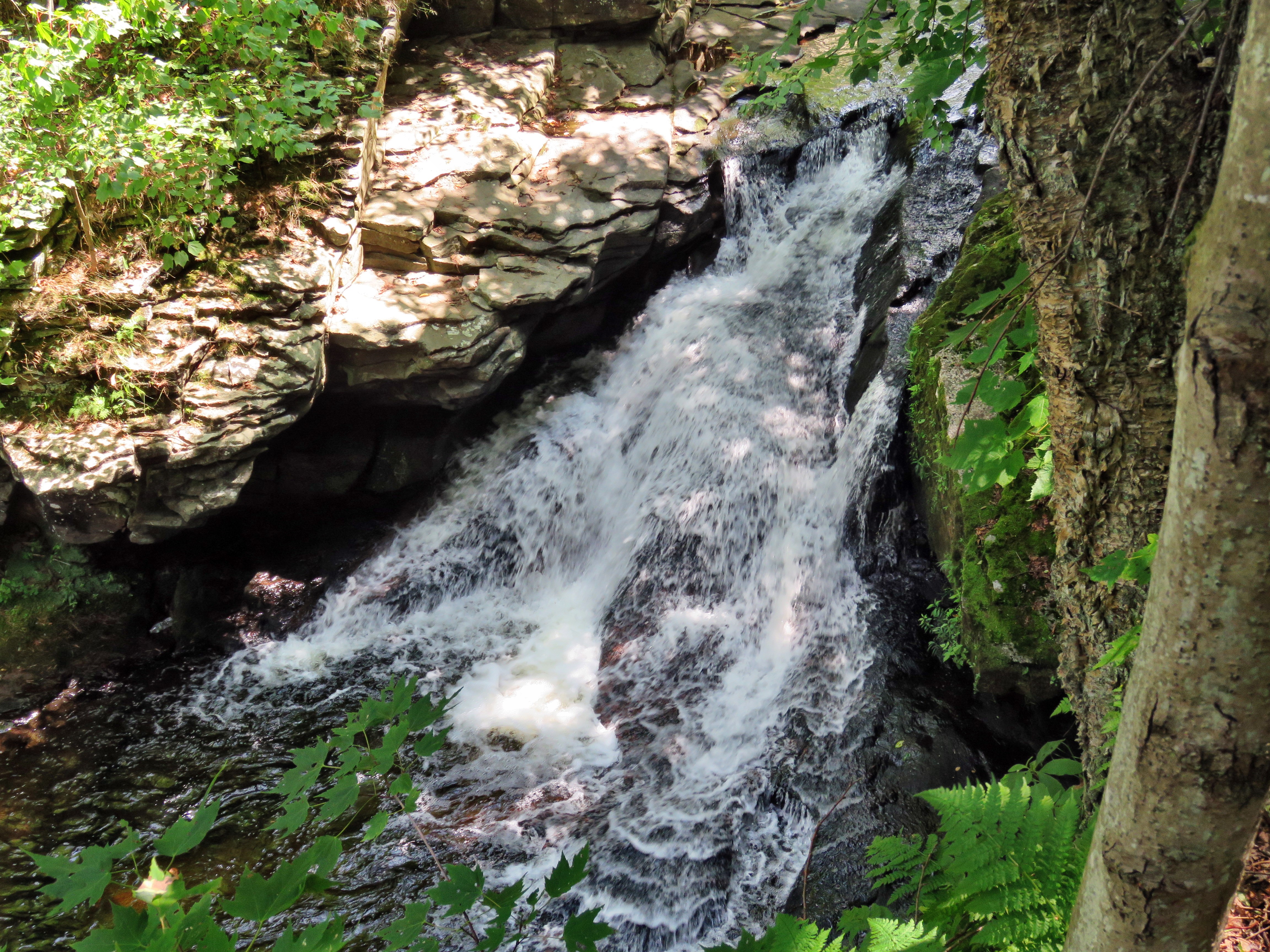 picture taken during a hike