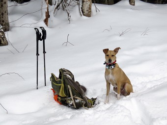picture taken during a hike