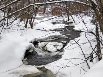 picture taken during a hike
